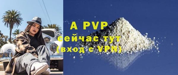 прущие грибы Елизово