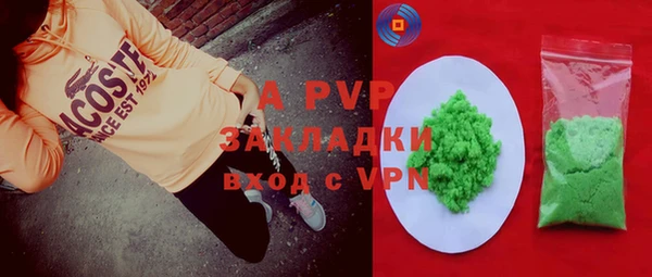 прущие грибы Елизово