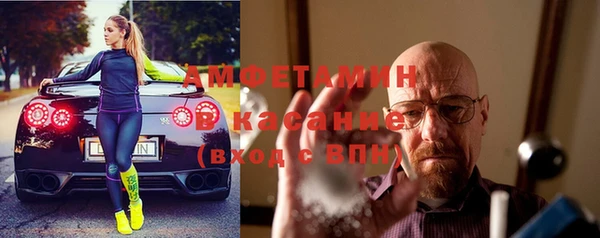 прущие грибы Елизово