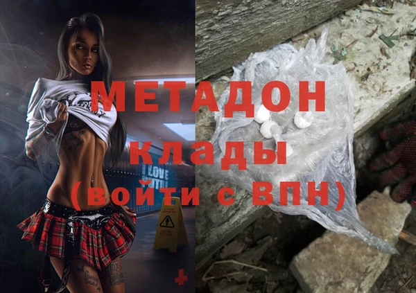 прущие грибы Елизово