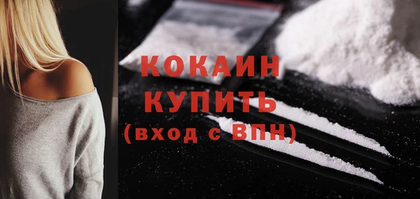 прущие грибы Елизово