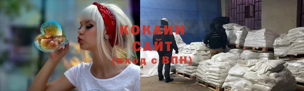 прущие грибы Елизово