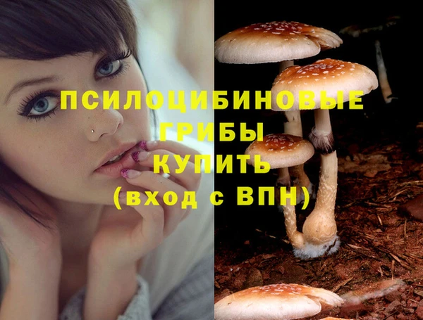 a pvp Елабуга