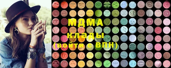 прущие грибы Елизово