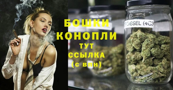 прущие грибы Елизово