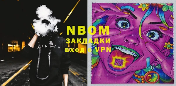 прущие грибы Елизово