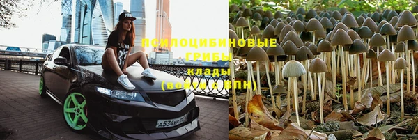 a pvp Елабуга
