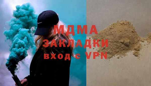прущие грибы Елизово