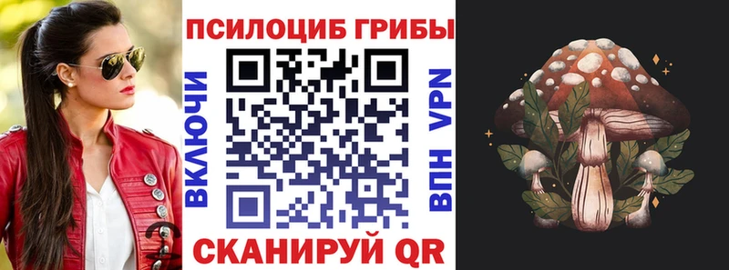 Купить закладки  Мариинск  Галлюциногенные грибы Magic Shrooms 
